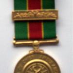 Association of Chief Ambulance Officers Medal.
