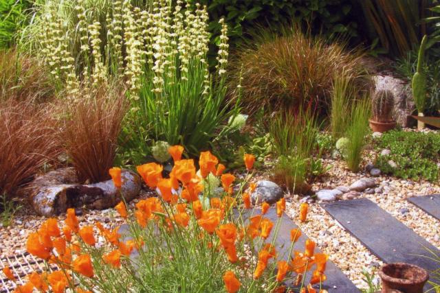 June's Garden.