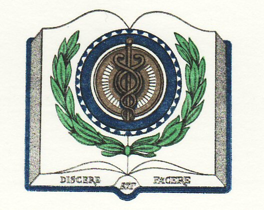 Southern Ambulance Training School Emblem 1980's.