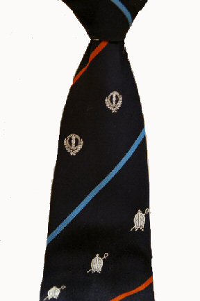 Bishops Waltham Tie.