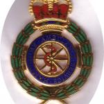 Hampshire Ambulance Service Cap Badge.